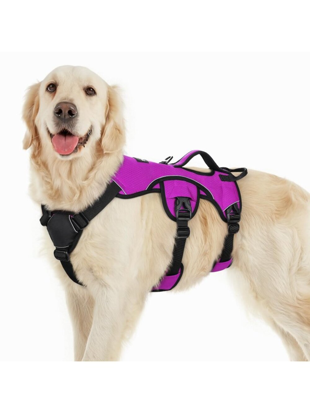 Large rabbitgoo Escape Proof Dog Harness, Soft Padded Full Body Pet Harness